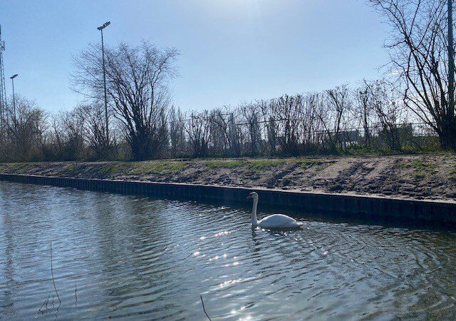 Prolock hoekprofiel 3 meter - Wal-beschoeiing.nl